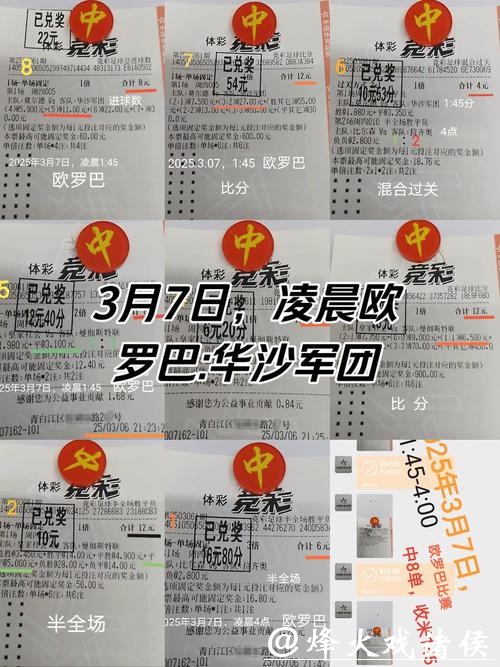 揭秘单届世界杯巨额投注量背后的秘密 揭秘单届世界杯巨额投注量背后的秘密